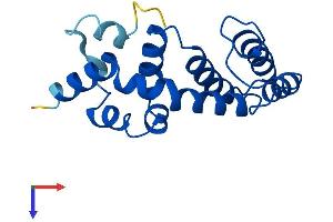 AlphaFold protein structure predicition of Human Recombinant RGS13 Protein, UniprotID O14921