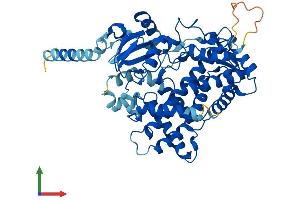AlphaFold protein structure predicition of Human Recombinant CYP2D7 Protein, UniprotID A0A087X1C5