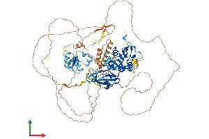 AlphaFold protein structure predicition of Human Recombinant LPIN3 Protein, UniprotID Q9BQK8
