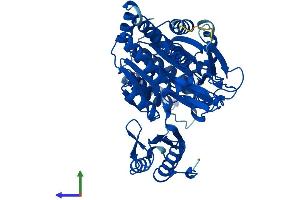 AlphaFold protein structure predicition of Mouse Recombinant Pgm3 Protein, UniprotID Q9CYR6