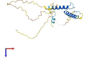 AlphaFold protein structure predicition of Mouse Recombinant Hand1 Protein, UniprotID Q64279