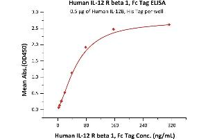 Immobilized Human IL-12B, His Tag (ABIN2181334,ABIN3071755,ABIN6810016) at 5 μg/mL (100 μL/well) can bind Human IL-12 R beta 1, Fc Tag (ABIN6731330,ABIN6809859) with a linear range of 5-78 ng/mL (QC tested).