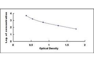 Image no. 1 for D-Dimer ELISA Kit (ABIN1873341)