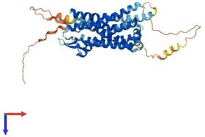 AlphaFold protein structure predicition of Mouse Recombinant Sstr1 Protein, UniprotID P30873