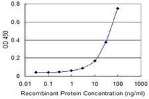 Detection limit for recombinant GST tagged AK1 is approximately 10ng/ml as a capture antibody. (Adenylate Kinase 1 anticorps  (AA 1-194))