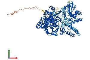 AlphaFold protein structure predicition of Human Recombinant ACSBG2 Protein, UniprotID Q5FVE4