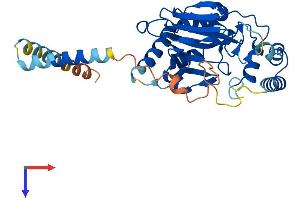 AlphaFold protein structure predicition of Mouse Recombinant Asphd2 Protein, UniprotID Q80VP9