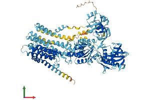 AlphaFold protein structure predicition of Human Recombinant ATP2C1 Protein, UniprotID P98194