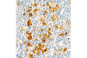 Immunohistochemistry of paraffin embedded human lymph node using CD30 (ABIN7076073) at dilution of 1:600 (400x lens) (TNFRSF8 anticorps)