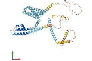 AlphaFold protein structure predicition of Mouse Recombinant Catsper4 Protein, UniprotID Q8BVN3
