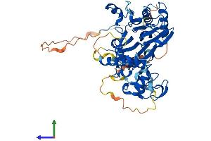 AlphaFold protein structure predicition of Mouse Recombinant Ppm1j Protein, UniprotID Q149T7