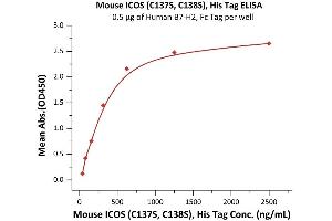 Immobilized Human B7-H2, Fc Tag (ABIN6731298,ABIN6809944) at 5 μg/mL (100 μL/well) can bind Mouse ICOS (C137S, C138S), His Tag (ABIN6731301,ABIN6809884) with a linear range of 39-625 ng/mL (QC tested).