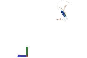 AlphaFold protein structure predicition of Mouse Recombinant Iqcg Protein, UniprotID Q80W32