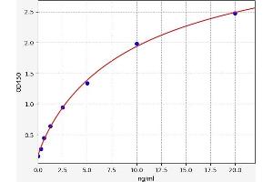 Typical standard curve (EN2 Kit ELISA)