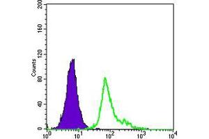 Flow cytometric analysis of HepG2 cells using CD105 mouse mAb (green) and negative control (purple).