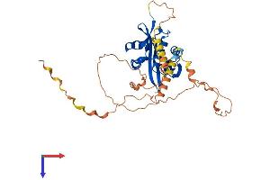 AlphaFold protein structure predicition of Human Recombinant NAA30 Protein, UniprotID Q147X3