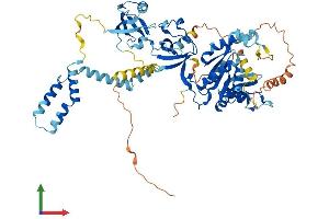 AlphaFold protein structure predicition of Human Recombinant MPP4 Protein, UniprotID Q96JB8
