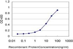 Detection limit for recombinant GST tagged USP3 is approximately 0. (USP3 anticorps  (AA 421-520))