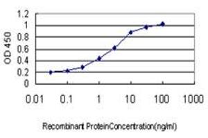 Detection limit for recombinant GST tagged TEK is approximately 0. (TEK anticorps  (AA 701-800))