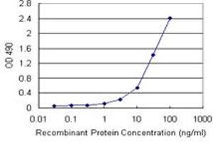 Sandwich ELISA detection sensitivity ranging from 1 ng/mL to 100 ng/mL. (SMAD3 (Humain) Matched Antibody Pair)