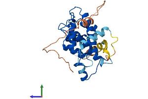 AlphaFold protein structure predicition of Human Recombinant CAPNS1 Protein, UniprotID P04632