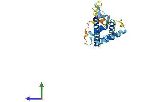 AlphaFold protein structure predicition of Mouse Recombinant Mreg Protein, UniprotID Q6NVG5