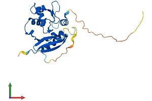AlphaFold protein structure predicition of Mouse Recombinant Mgmt Protein, UniprotID P26187