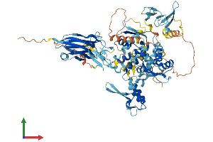 AlphaFold protein structure predicition of Mouse Recombinant Smurf2 Protein, UniprotID A2A5Z6