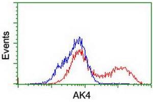 Flow Cytometry (FACS) image for anti-Adenylate Kinase 4 (AK4) antibody (ABIN1496527) (AK4 anticorps)