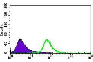 Flow cytometric analysis of HeLa cells using BMPR1A mouse mAb (green) and negative control (purple).
