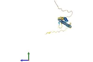 AlphaFold protein structure predicition of Human Recombinant NRSN1 Protein, UniprotID Q8IZ57