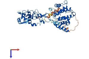 AlphaFold protein structure predicition of Human Recombinant CHN2 Protein, UniprotID P52757