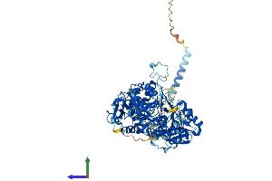 AlphaFold protein structure predicition of Mouse Recombinant Ext2 Protein, UniprotID P70428