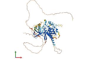 AlphaFold protein structure predicition of Human Recombinant TESK2 Protein, UniprotID Q96S53