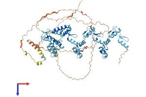 AlphaFold protein structure predicition of Human Recombinant ZKSCAN7 Protein, UniprotID Q9P0L1