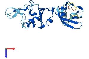 AlphaFold protein structure predicition of Human Recombinant CYB5D1 Protein, UniprotID Q6P9G0