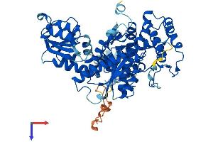 AlphaFold protein structure predicition of Human Recombinant STXBP1 Protein, UniprotID P61764