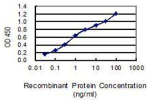 Detection limit for recombinant GST tagged HMGB1 is 0. (HMGB1 anticorps  (AA 1-215))
