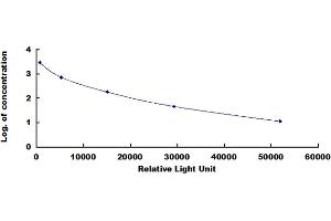 ELISA image for Arginine Vasopressin (AVP) CLIA Kit (ABIN4947360)