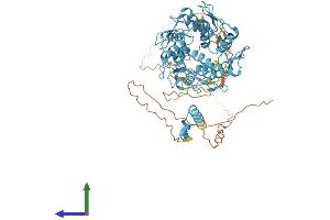 AlphaFold protein structure predicition of Human Recombinant ZNF44 Protein, UniprotID P15621
