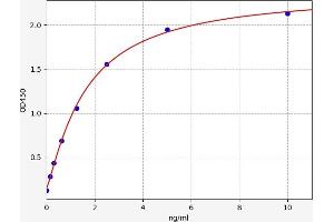 Keratin 2 (KRT2) ELISA Kit
