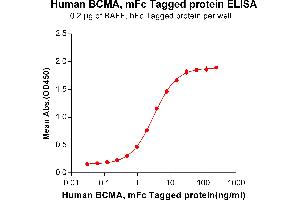 ELISA plate pre-coated by 2 μg/mL (100 μL/well) Human BAFF, hFc tagged protein ABIN6961113, ABIN7042255 and ABIN7042256 can bind Human BCMA, mFc tagged protein (ABIN6961108, ABIN7042245 and ABIN7042246) in a linear range of 0.