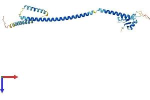 AlphaFold protein structure predicition of Human Recombinant CENPK Protein, UniprotID Q9BS16
