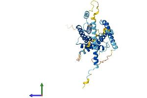 AlphaFold protein structure predicition of Mouse Recombinant Igbp1 Protein, UniprotID Q61249