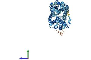 AlphaFold protein structure predicition of Human Recombinant SLC22A7 Protein, UniprotID Q9Y694