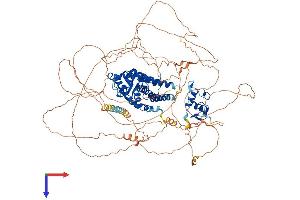 AlphaFold protein structure predicition of Mouse Recombinant Nr3c2 Protein, UniprotID Q8VII8