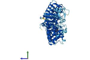 AlphaFold protein structure predicition of Mouse Recombinant RO60 Protein, UniprotID O08848