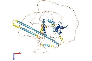 AlphaFold protein structure predicition of Human Recombinant FOXP2 Protein, UniprotID O15409