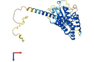 AlphaFold protein structure predicition of Human Recombinant AIMP2 Protein, UniprotID Q13155