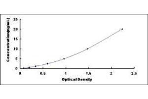 Typical standard curve (NR4A3 Kit ELISA)
